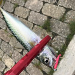 サバゲー楽しいですよ!