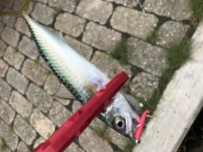 サバゲー楽しいですよ!