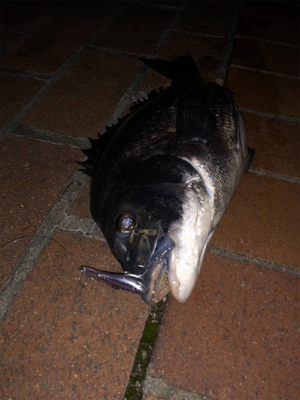 あとちょっとで年無し