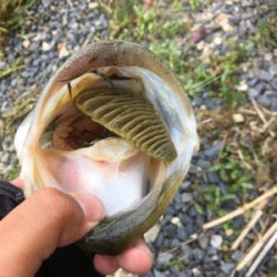 真昼間の琵琶湖