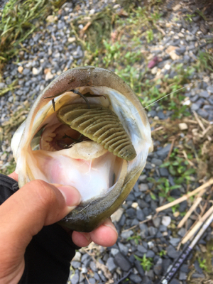 真昼間の琵琶湖