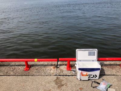 年無出た!しかし、タモ折れた!