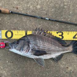 夕マズメチニング