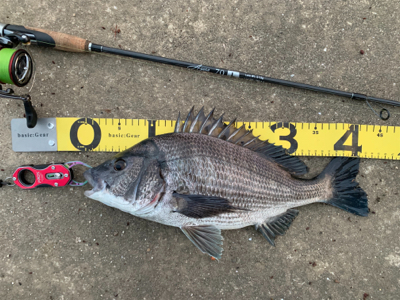 夕マズメチニング