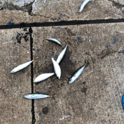 久々の釣りです❗️