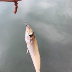 キスを求めて①