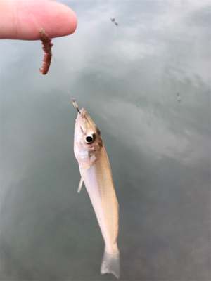 キスを求めて①