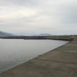 長い雨間のチャンスタイム