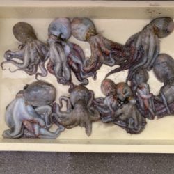 場所変更で正解!