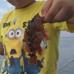 タチウオの気配無し