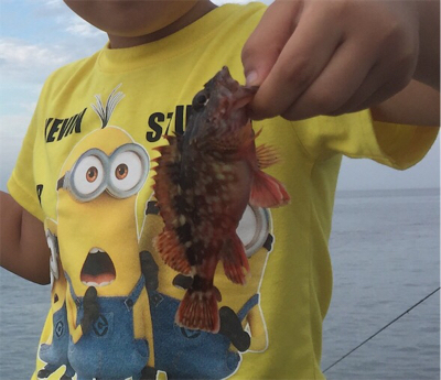 タチウオの気配無し