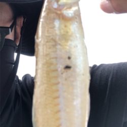 嫁さんとキス釣り