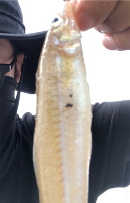 嫁さんとキス釣り