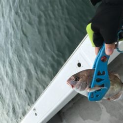 二人でのヒトツテンヤ