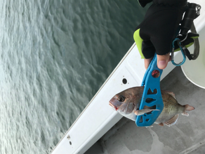 二人でのヒトツテンヤ