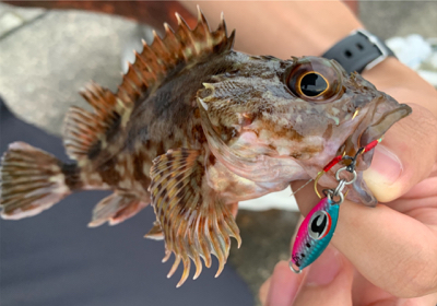 マイクロ岸ジギング