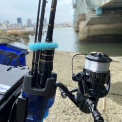 自粛釣行　手長エビ