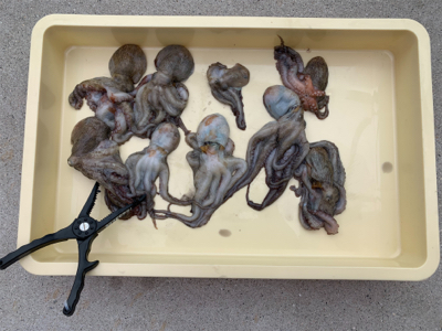 朝一、昨日の所へ！