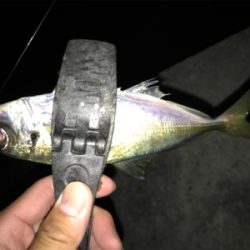 2020ライトゲーム第22戦