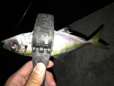 2020ライトゲーム第22戦