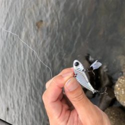 まさかのビックベイト