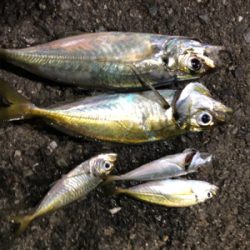 フロートアジング