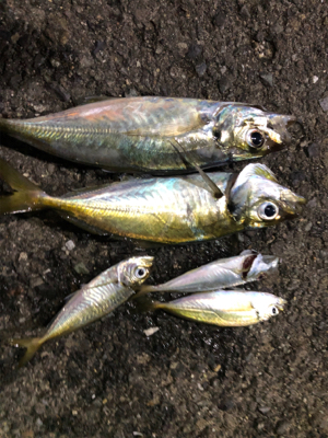 フロートアジング