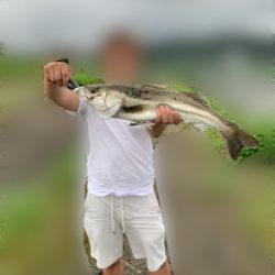 フラットフィッシュ狙い