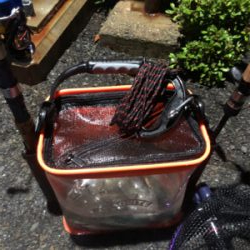 掌を超えてきました！