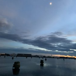 デイチニング！？