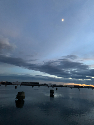 デイチニング！？