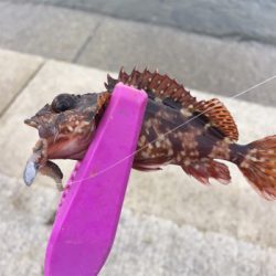 キス狙い ライトゲーム