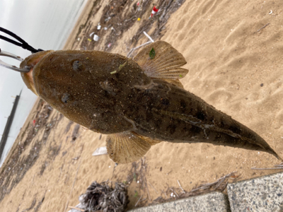 木や草が多かった