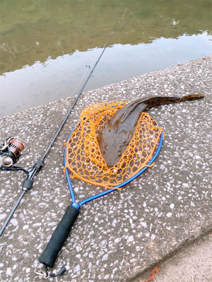 チニングのつもり…が！