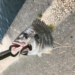 パターンハマらず