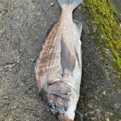 濁りあるがあたりなし