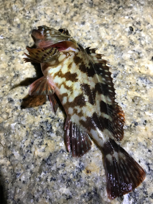 時合に間に合わず…