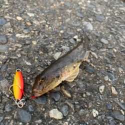 サイズがいまいち>_<