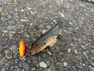 サイズがいまいち>_<