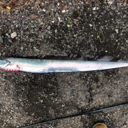 ブヨ対策をお忘れなく