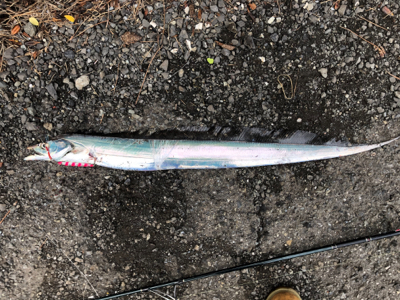 ブヨ対策をお忘れなく