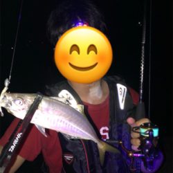 早朝アジング♪回遊あったよ！GUNNING-STYLE