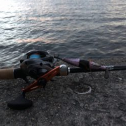 レッツタコパ！