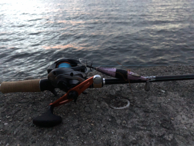 レッツタコパ！