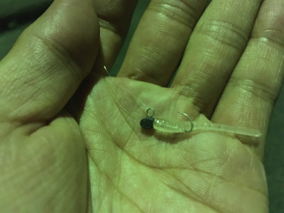 ダイソーのワームが良い