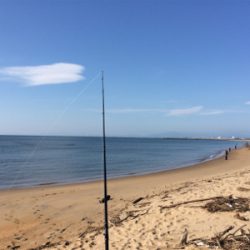 マゴチフィッシング