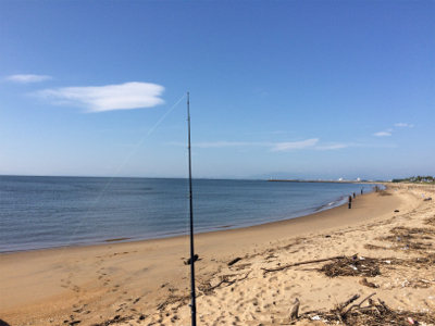 マゴチフィッシング