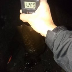 腰かけエギング