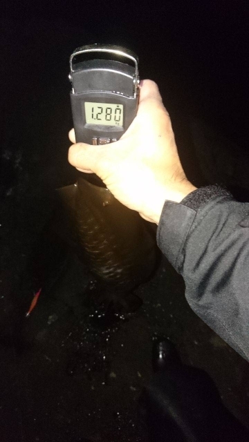 腰かけエギング