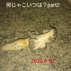 暴風＆雨は晴れ男なんでマシでしたが…